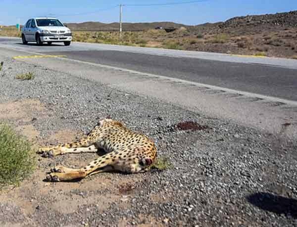  چالش‌های استحصال تیتانیوم در کشور بررسی شد فقدان فناوری فرآوری تیتانیوم
