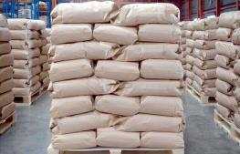 پیشنهاداتی برای توسعه صنعت سیمان در نشستی با مجلسی‌ها 